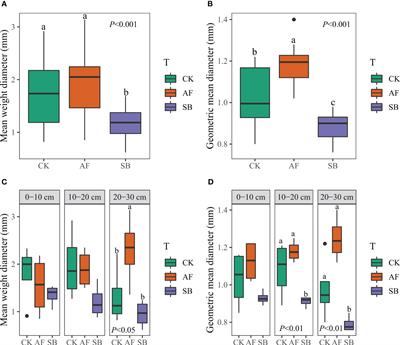 Stoichiometric characteristics drive the soil aggregate stability after 5 years of vegetation restoration in China